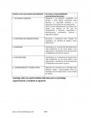 Puestos en los que puedes desempeñarte