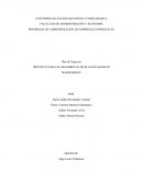 PROYECTO PARA EL DESARROLLO DE PLAN DE NEGOCIO “BARDI SHOES”