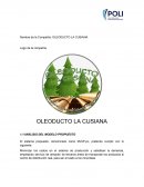 OLEODUCTO LA CUSIANA