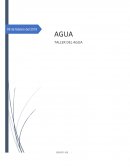 Taller de agua