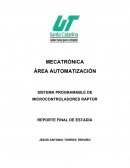 SISTEMA PROGRAMABLE DE MICROCONTROLADORES RAPTOR