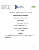 Componentes centrales del desarrollo humano