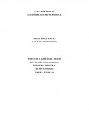 Almacenes Éxito S.A Analisis del sistema operacional