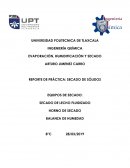 Reporte de secado balanza de humedad