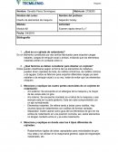 Cojinetes de rodamiento