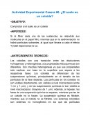 Actividad Experimental Casera #6. ¿El suelo es un coloide?