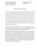 ENSAYO DE ETICA PROFESIONAL Valores y Principios