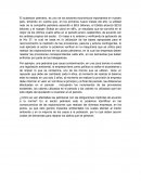 Tercra entrega nic 37