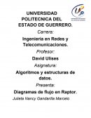 Diagramas de flujo con raptor