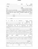 Formato acta constitutiva