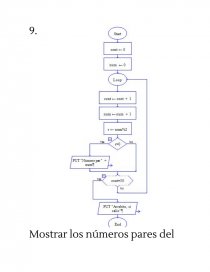 Diagramas de flujo con raptor - Prácticas o problemas - Julieta Marcelo