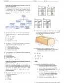 PRUEBA PERIODICA MATEMÁTICAS UNDECIMO