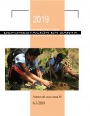 PROYECTO DE DEFORESTACIÓN