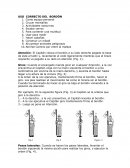 USO CORRECTO DEL BORDÓN PARA LOS CLUBES