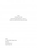 El capital social en el nuevo enfoque del capital intelectual de las organizaciones.