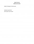 Analisis de mercado Zepellin Security