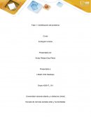 Ecologia humana, Barrio Villa Jaidith de la ciudad de Valledupar