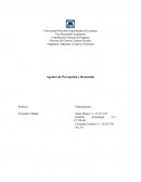 Agentes de percepción y retención del Impuesto sobre alcohol y especies alcohólicas