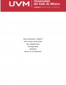 Ensayo El Experimento Social