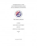 Resumen y opinión del programa pisa