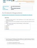 Actividad integradora Las intervenciones de enfermería y su vinculación con el diagnóstico de enfermería