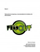 Valoración de empresa y recomendación de sistema de información. FlipOut Culiacán