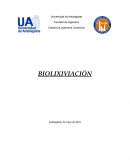 BIOLIXIVIACIÓN