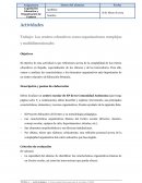 Trabajo: Los centros educativos como organizaciones complejas y multidimensionales