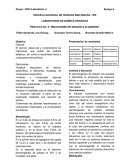 PRÁCTICA No. 8 “REACCIONES DE ADICIÓN A ALQUENOS”