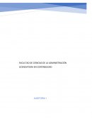 TEMAS BÁSICOS DE LA AUDITORÍA EN GENERAL