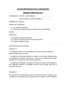 LAS NEUROCIENCIAS EN LA EDUCACIÓN TRABAJO PRÁCTICO Nº 2