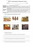 GUÍA N° 7: LA REVOLUCIÓN DE LA AGRICULTURA 7º Básico