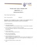 HIDROLOGÍA – 6o C PRUEBA DIAGNÓSTICA