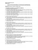 GUÍA DE APLICACIÓN CONTABILIDAD EMPRESARIAL