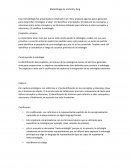 Metodologia de Uschold y King