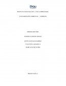 CONTAMINACION AMBIENTAL – CERREJON