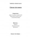 Cáncer de mama. Factores determinantes en el incremento del Cáncer de Mama en México