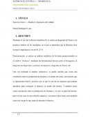 Ejercicio Extra 1 – Modelo 6, Ingeniería de Calidad, diagrama de Pareto