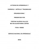 EVIDENCIA 1: ARTÍCULO “TRAZABILIDAD ORGANIZACIONAL”