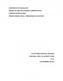 Variables de Geert Hofstede
