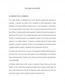 CULTURA SAN AGUSTÍN EL SHAMÁN O EL SACERDOTE