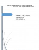 Obra pay de limon