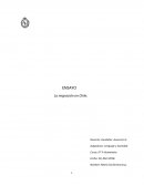 La inmigracion es la “tensión social”