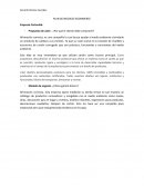 PLAN DE NEGOCIO ECOMMERCE Empresa Cartonlab