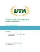 PRINCIPIOS PROCESALES