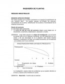 INGENIERÍA DE PLANTAS RIESGOS INDUSTRIALES