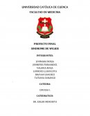 PROYECTO FINAL SINDROME DE WILKIE