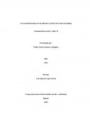 Las transformaciones de la industria a partir de la nano tecnología