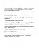 El verdadero costo de las cosas