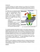 Reporte Alcoholes Farma E